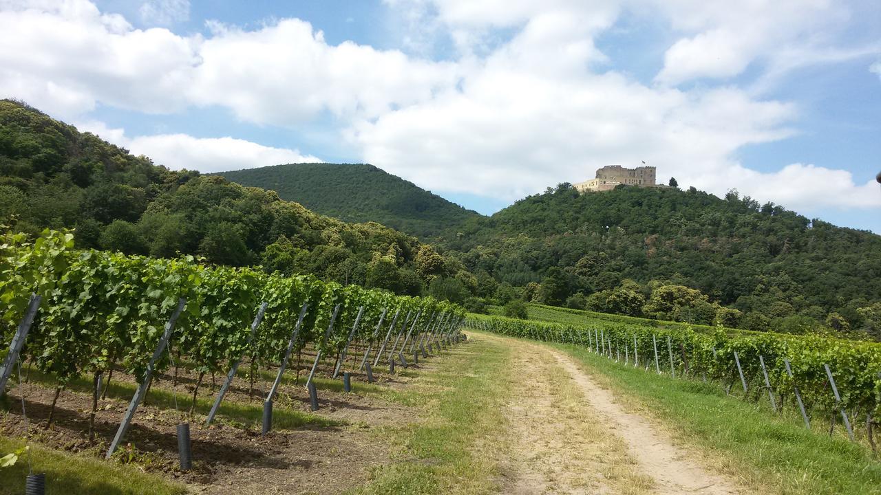 Gaestehaus Weingut Glas Neustadt an der Weinstraße Eksteriør bilde