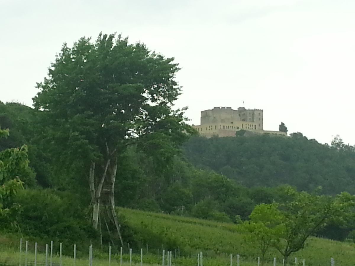 Gaestehaus Weingut Glas Neustadt an der Weinstraße Eksteriør bilde